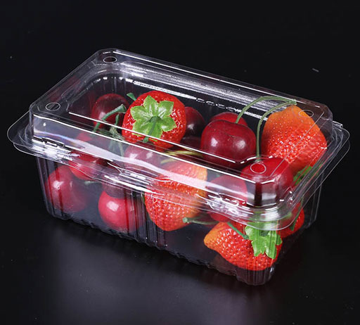 PET Food Packaging Containers