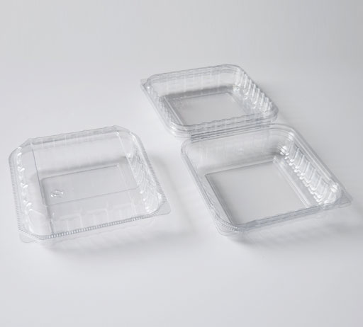 Fresh Food Container