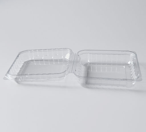 Fresh Food Container