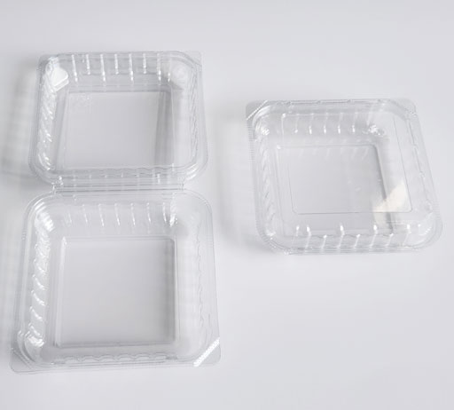 Fresh Food Container