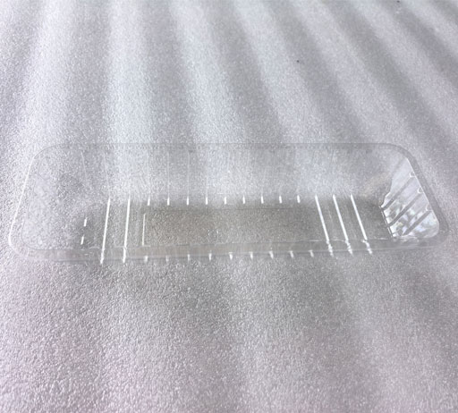 Fresh Food Container